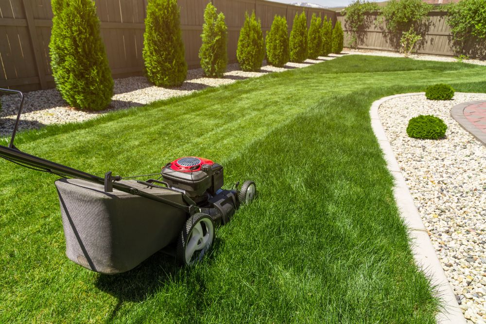 A lawn mower is cutting grass in a backyard, showcasing a neat lawn and a sunny outdoor environment.