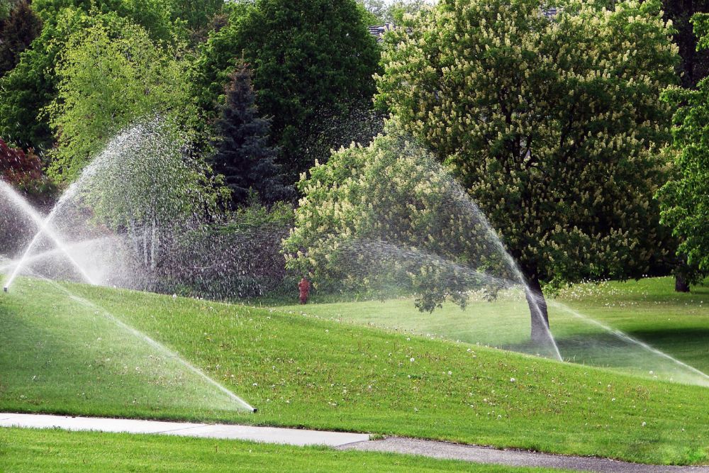 A sprinkler system sprays water over a lush, green grassy field under clear blue skies.