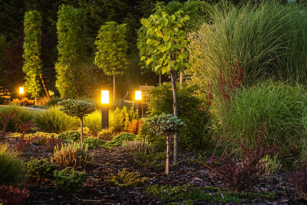 A serene garden illuminated by soft lights, showcasing various plants under a starry night sky.