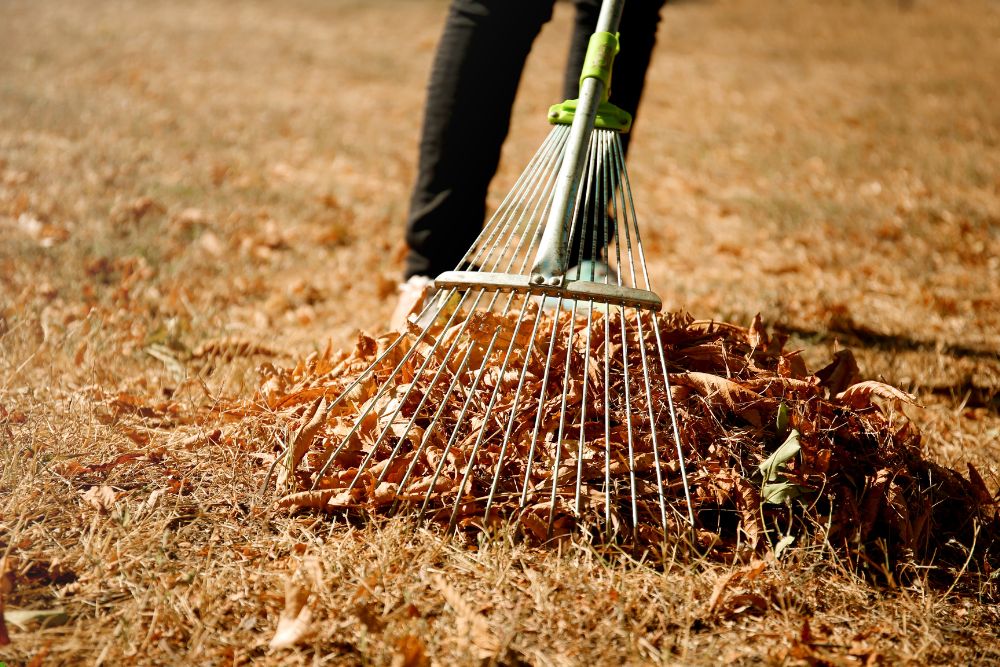 A person rakes leaves into a pile in a garden, showcasing autumn foliage and a sunny day.