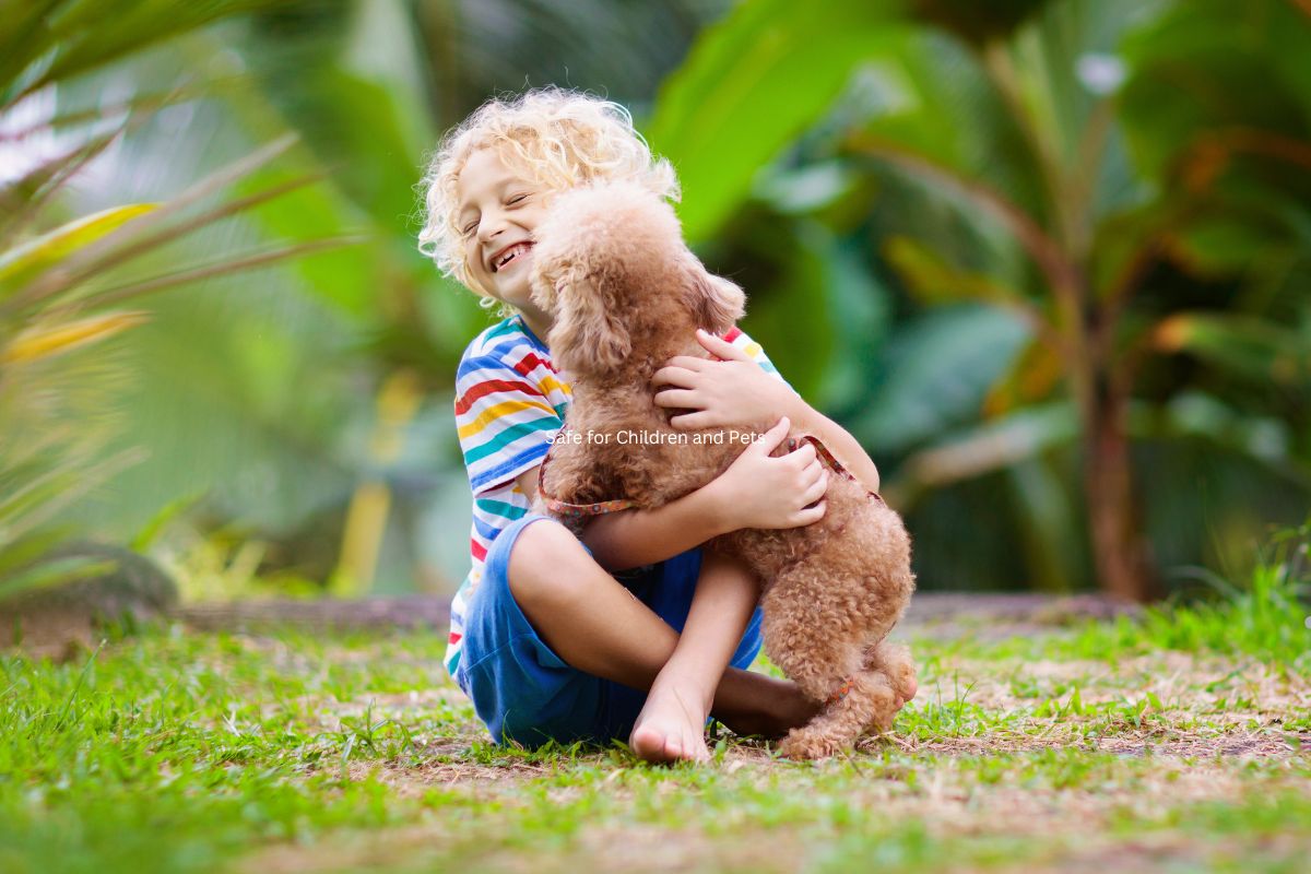 Artificial Grass is Safe for Children and Pets