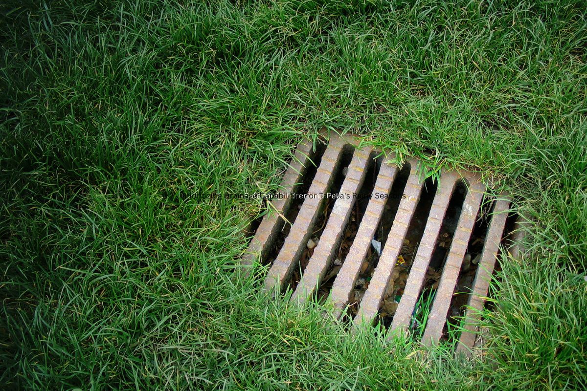 Prioritizing Drainage Capabilities for Tampa's Rainy Seasons