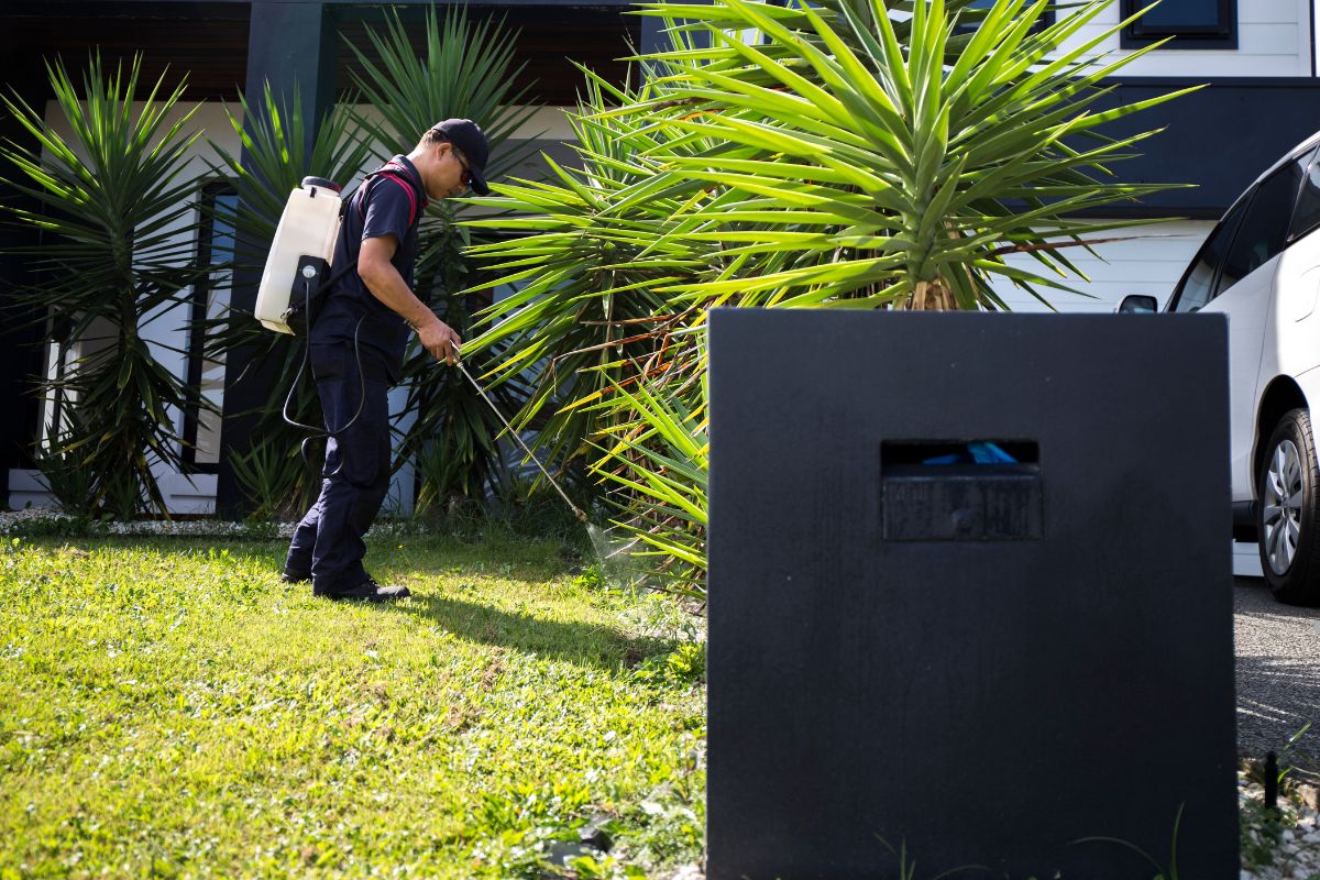 Pest Resistance in backyard