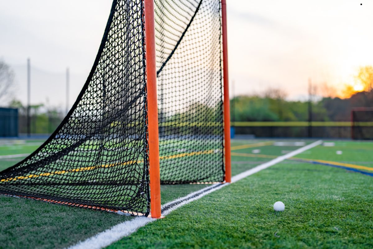 Sports Turf
