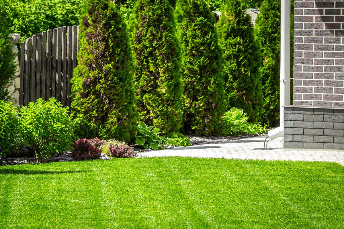 Artificial Grass for Yard
